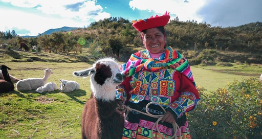 Enchanting Cusco and Machu Picchu 3 Day Adventure