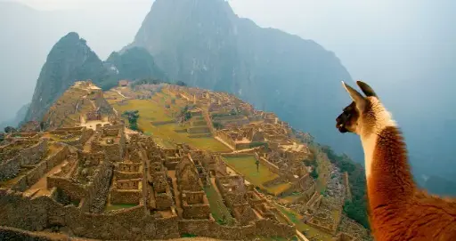  The Sun’s Expedition